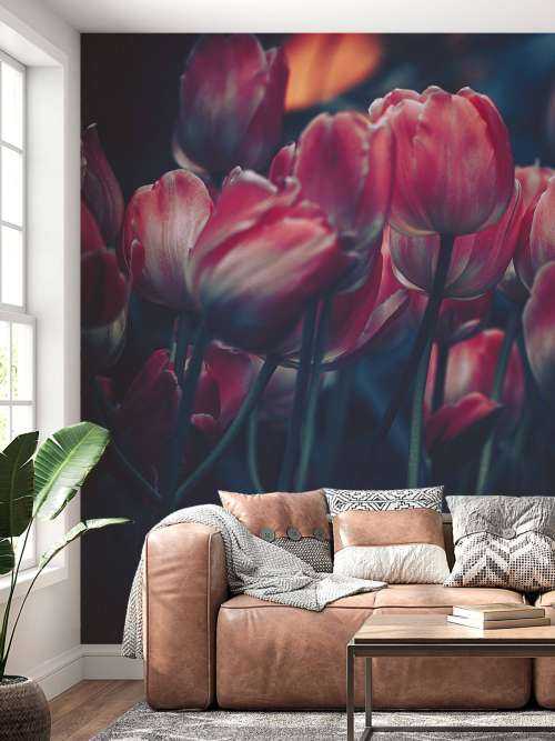 Alte Tulpen