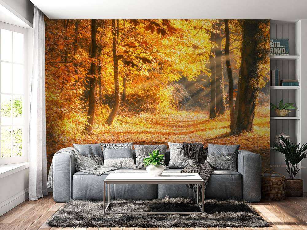 Panorama im Herbst
