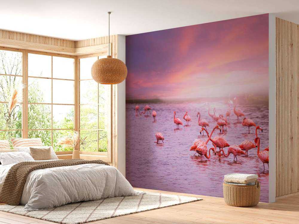 Flamingo mit Sonnenuntergang