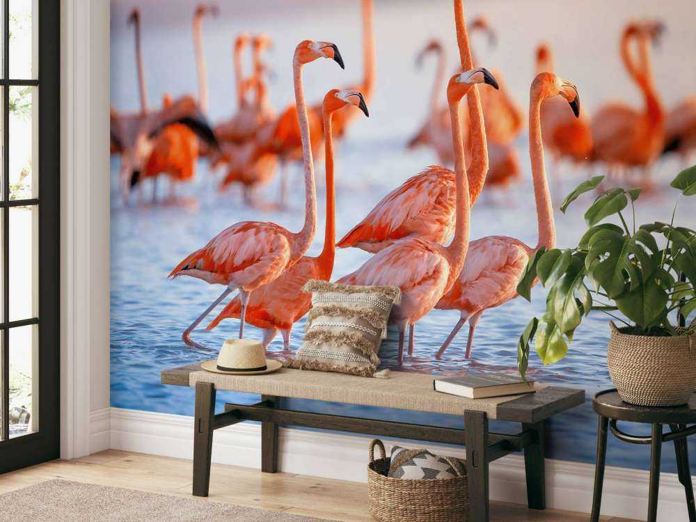 Glotzende Flamingos