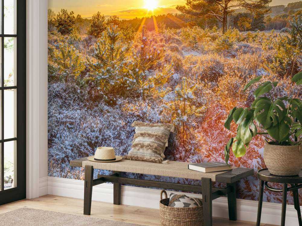 Winter Sonnenuntergang