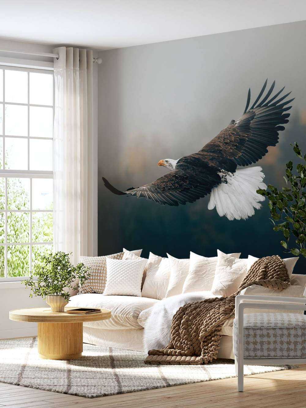 Weißkopfseeadler über dem Wald