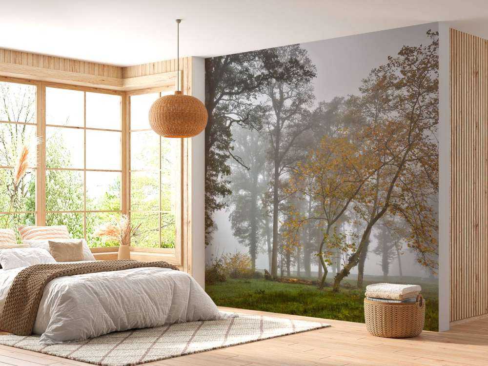 Grasfeld mit Bäumen und Nebel