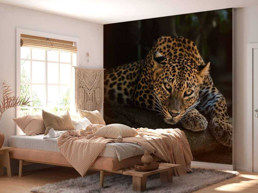 Panther im Wald