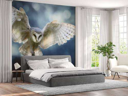Fliegende Eule