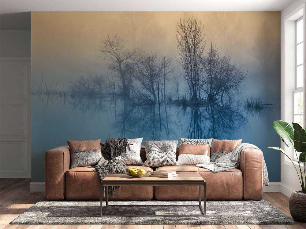 Morning reflection