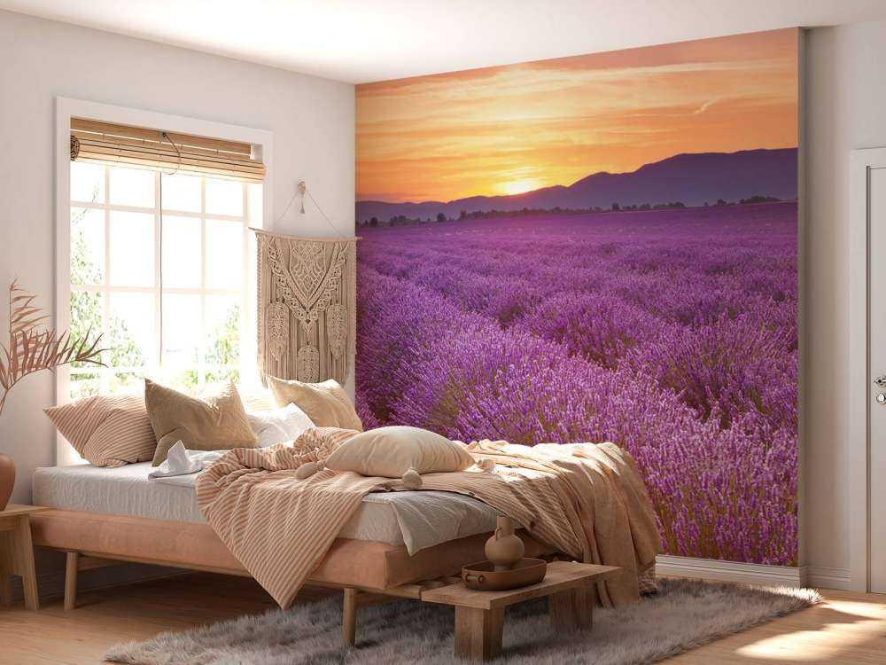 Feld voller Lavendel