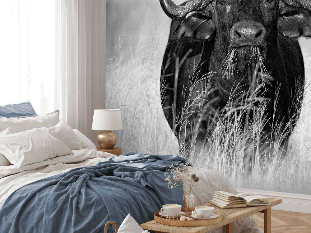 Büffel in Schwarz und Weiß