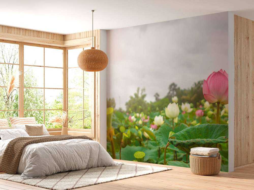 Rosa und weiße Lotusblumen