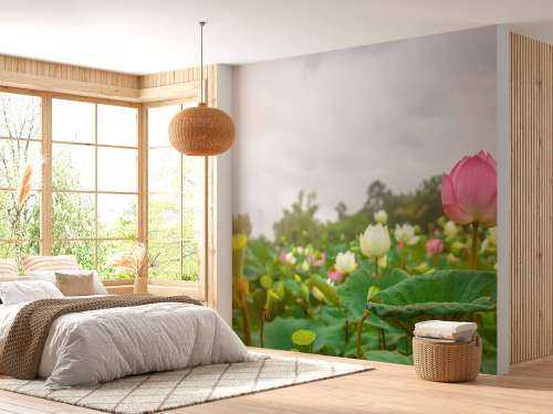 Rosa und weiße Lotusblumen