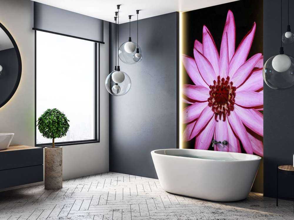 Lotusblume von oben