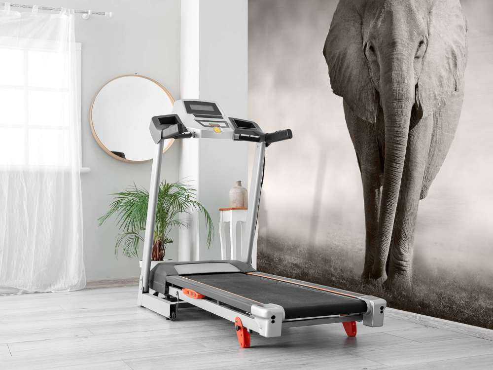 Schöner Elefant