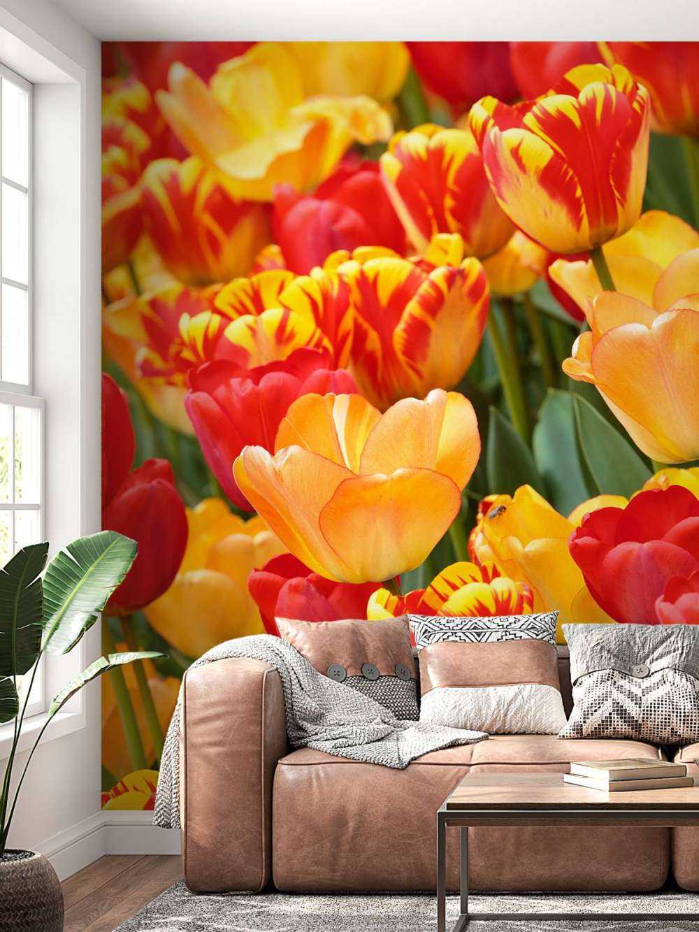 Farbige Tulpen