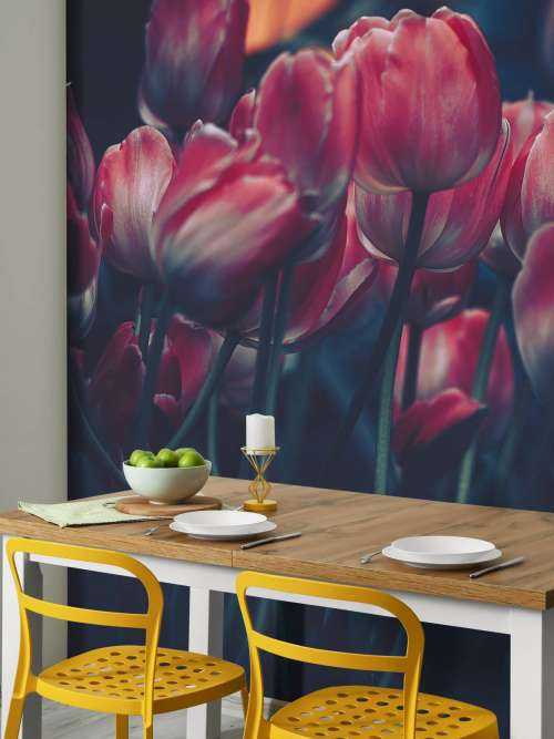 Alte Tulpen