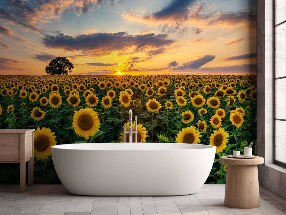 Feld voller Sonnenblumen