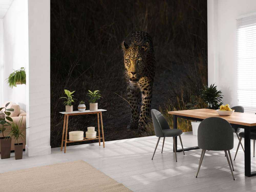 Leopard mit Sonnenuntergang