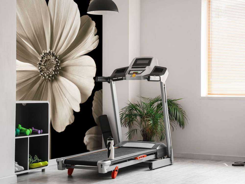 Mehrere Cosmos-Blüten