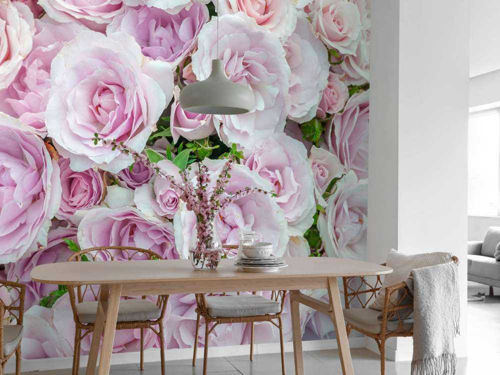 Bunte weiße und rosa Rosen