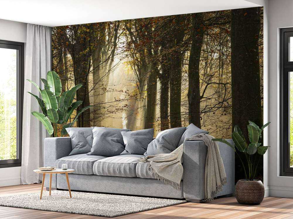 Der Wald von Crécy