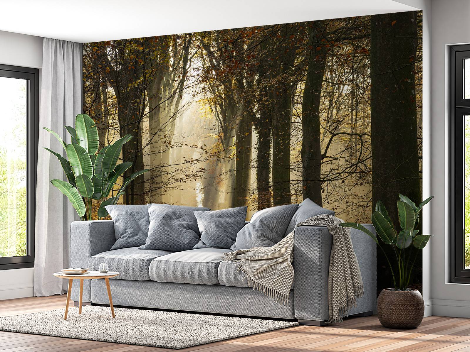 Der Wald von Crécy