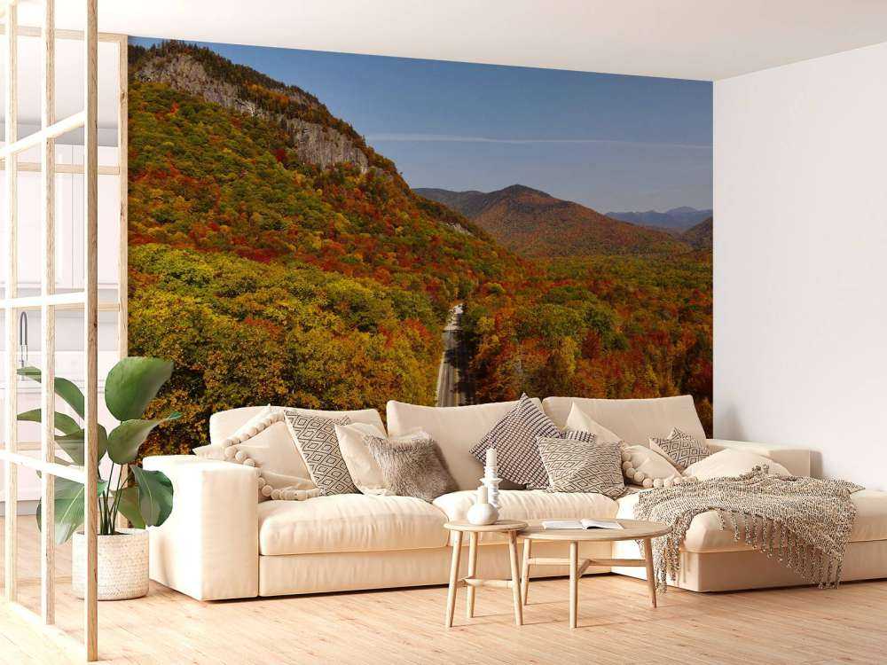 Straße durch Herbstlandschaft