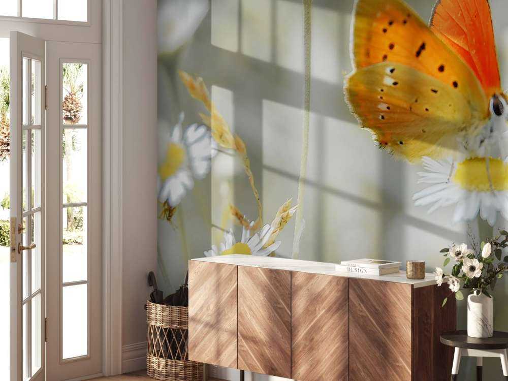 Gänseblümchen und orangefarbener Schmetterling