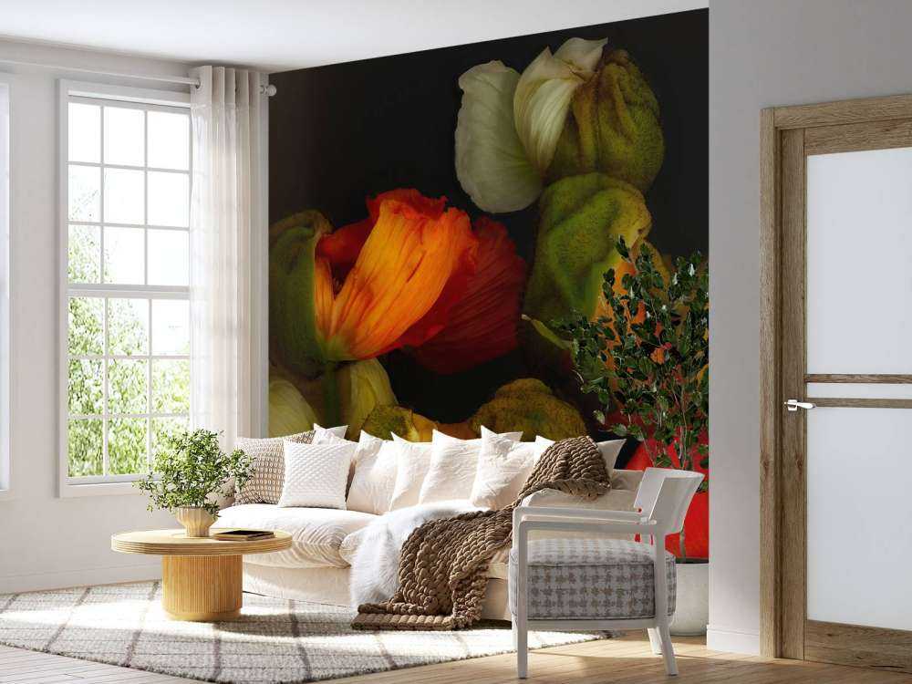 Aufkeimende Mohnblumen