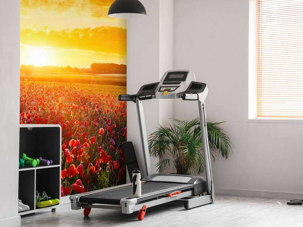 Mohnblumen und Sonnenuntergang