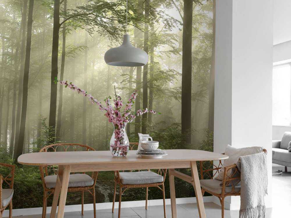 Grüner Wald im Nebel