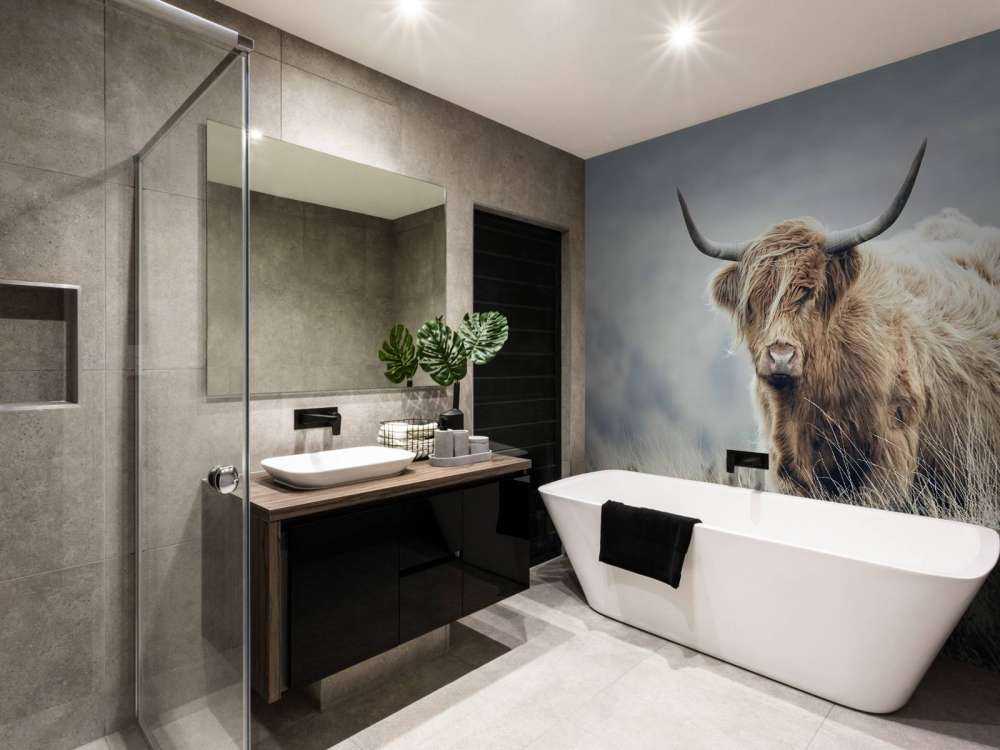 Schottische Hochländer in der Natur