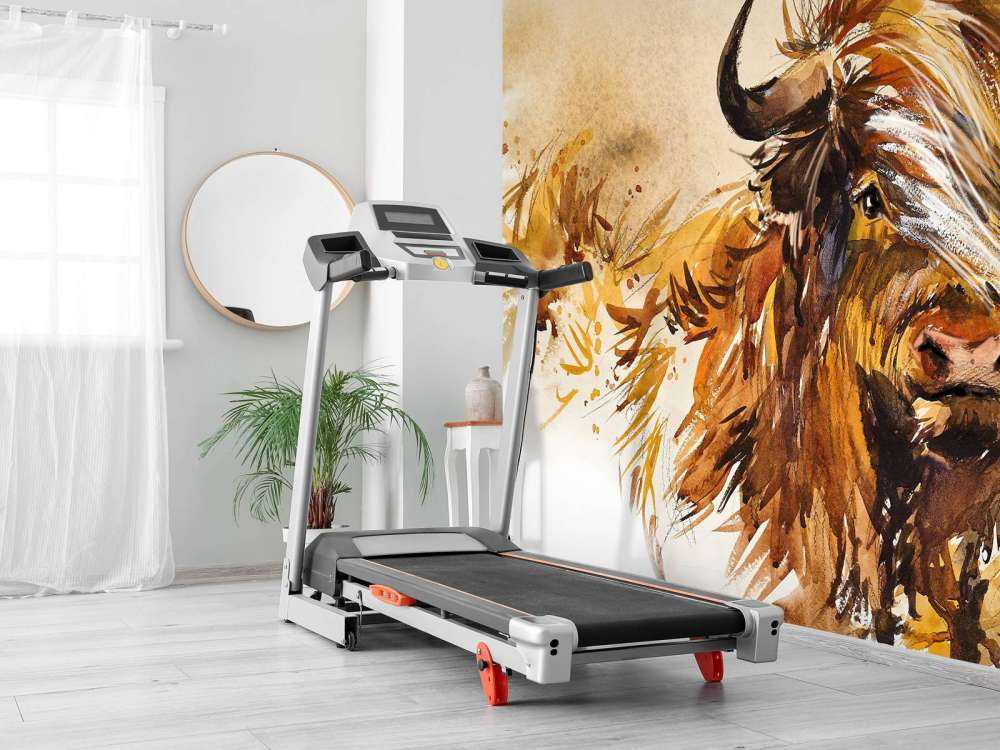 Lackierter Highlander