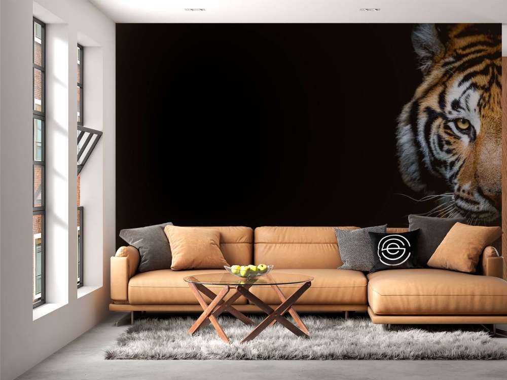Tiger-Panorama