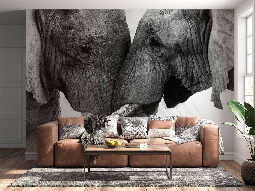 Fototapete Elefanten