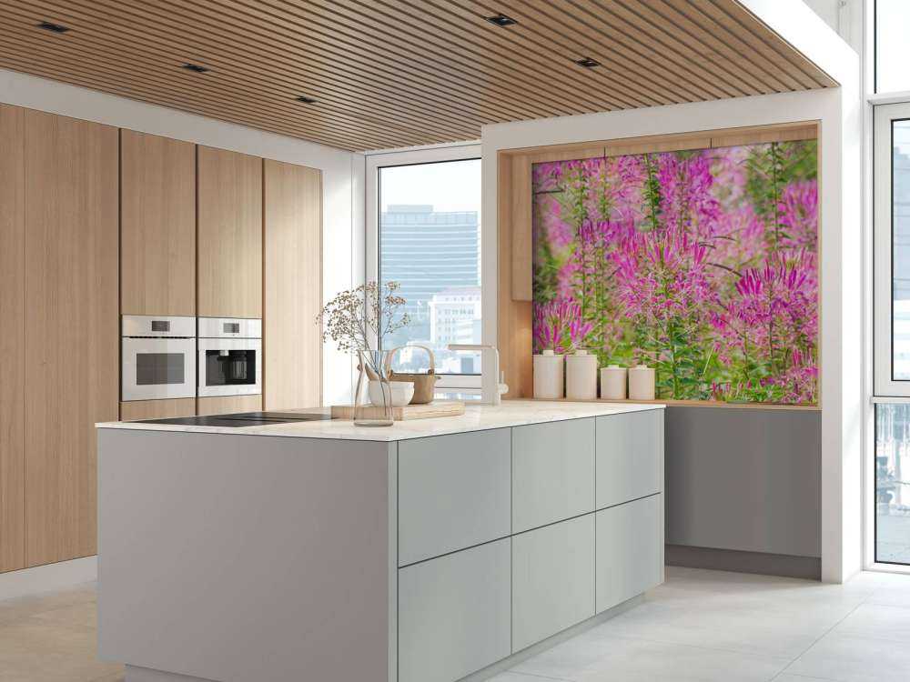 Cleome-Blüten
