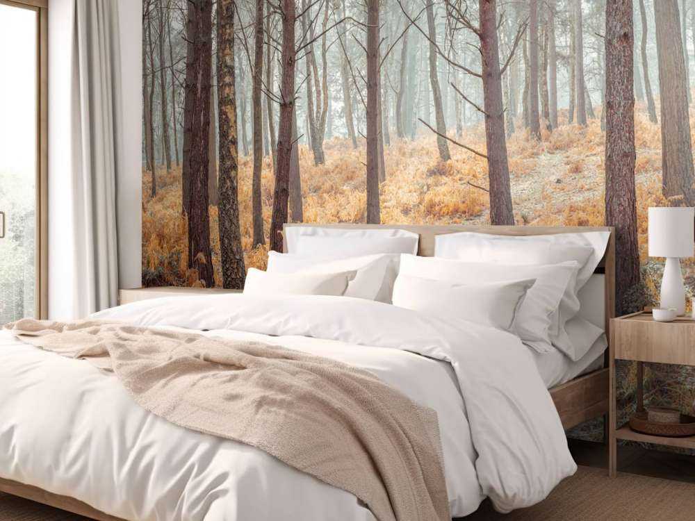 Wald im Herbst