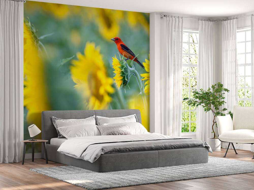 Sonnenblumenfeld mit rotem Vogel