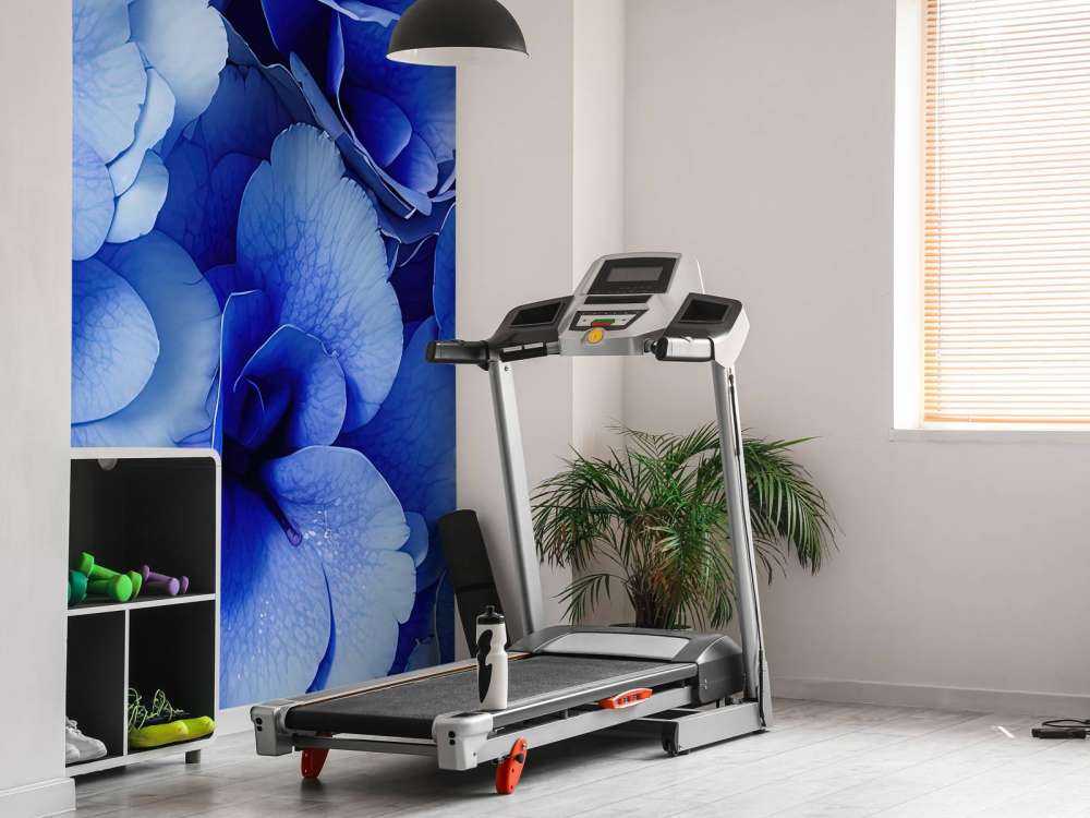 Nahaufnahme von blauen Hortensien