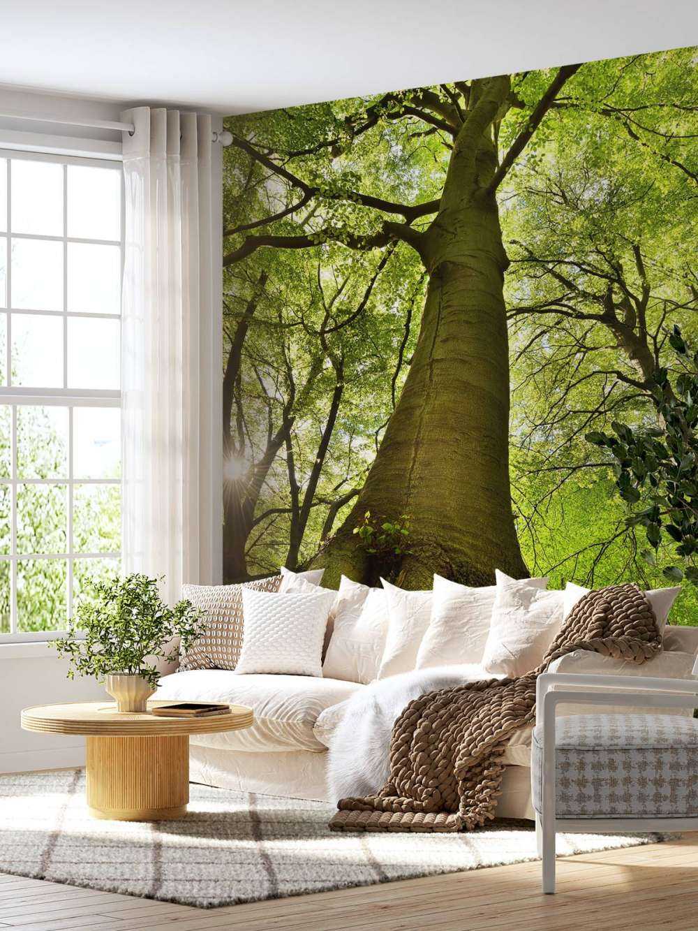 Großer Baum mit Wurzeln
