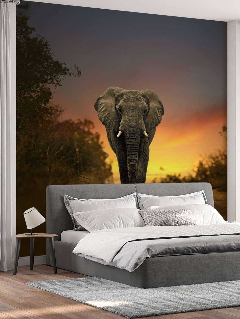 Elefant mit Sonnenuntergang