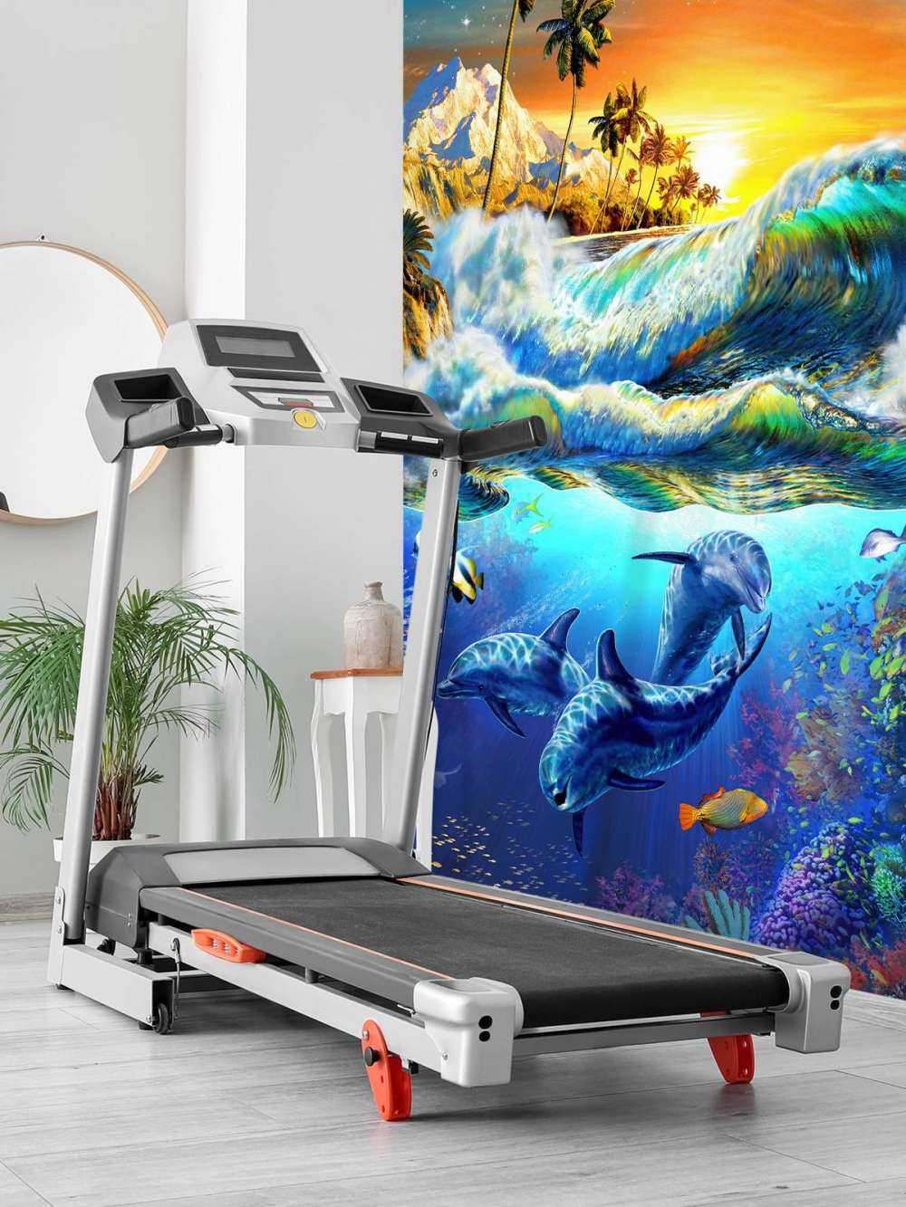 Hawaian Dawn_Waves and Dolphins