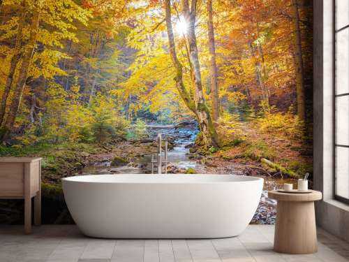 Herbst im wilden Wald