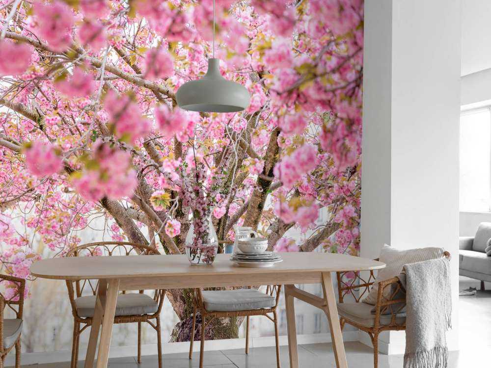 Blüte Baum