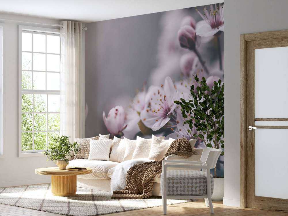 Frühlingsblüte