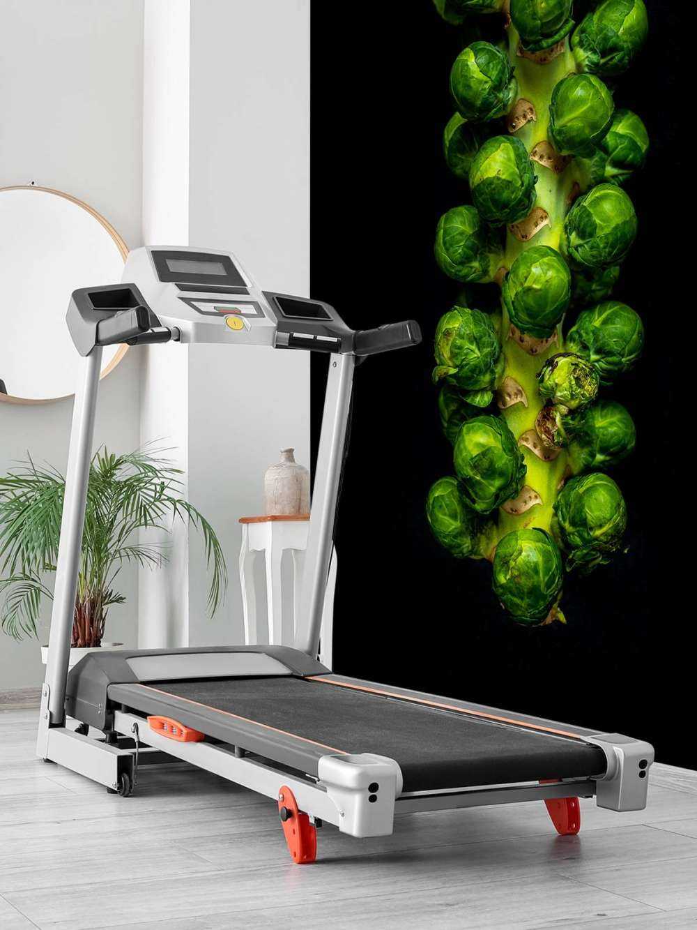 Rosenkohl