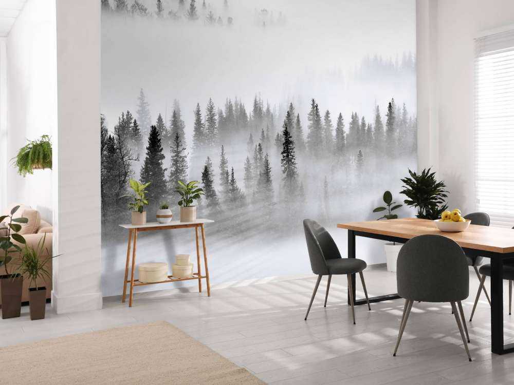 Foggy Forest - 1x