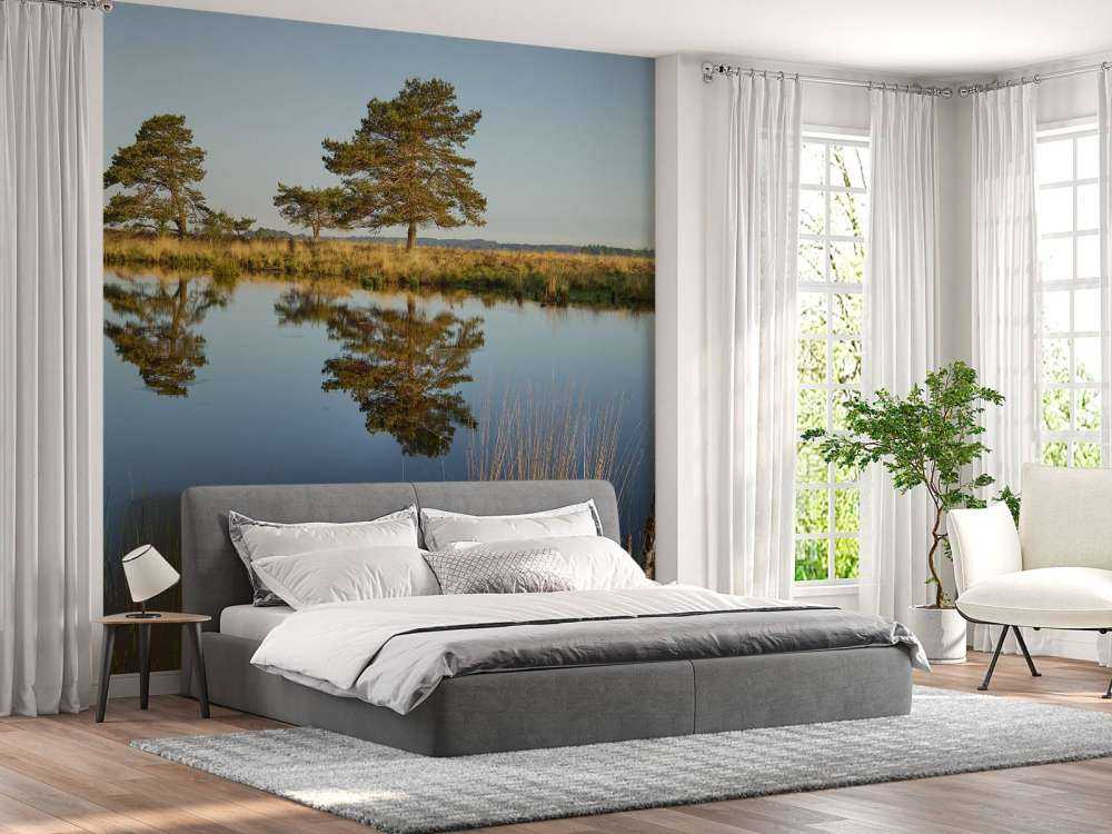 Waldland in der Heide