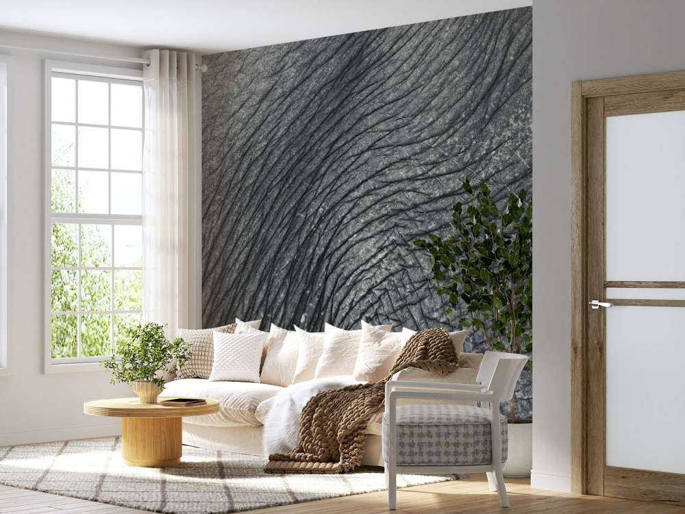 Nahaufnahme Elefantenhaut