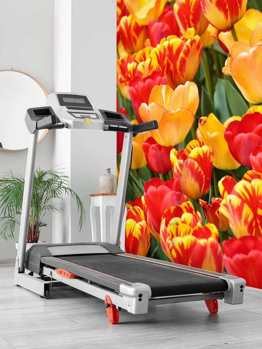 Farbige Tulpen