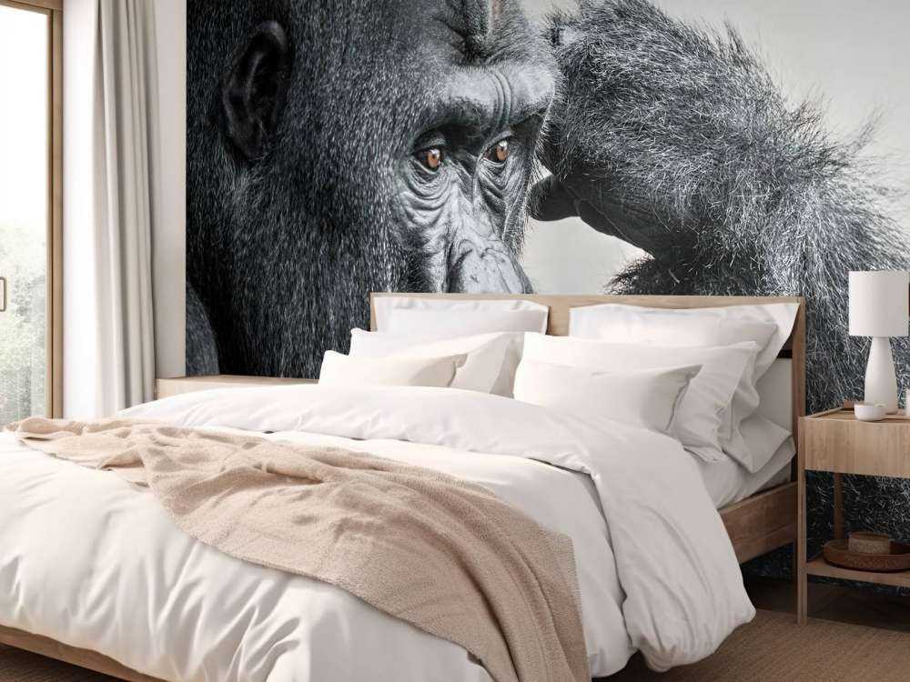 Gorilla schwarz-weiß