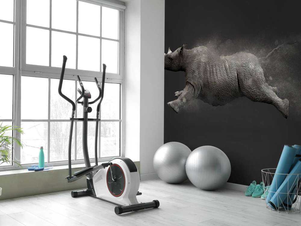 Nashorn